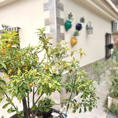シャレー Private Pool